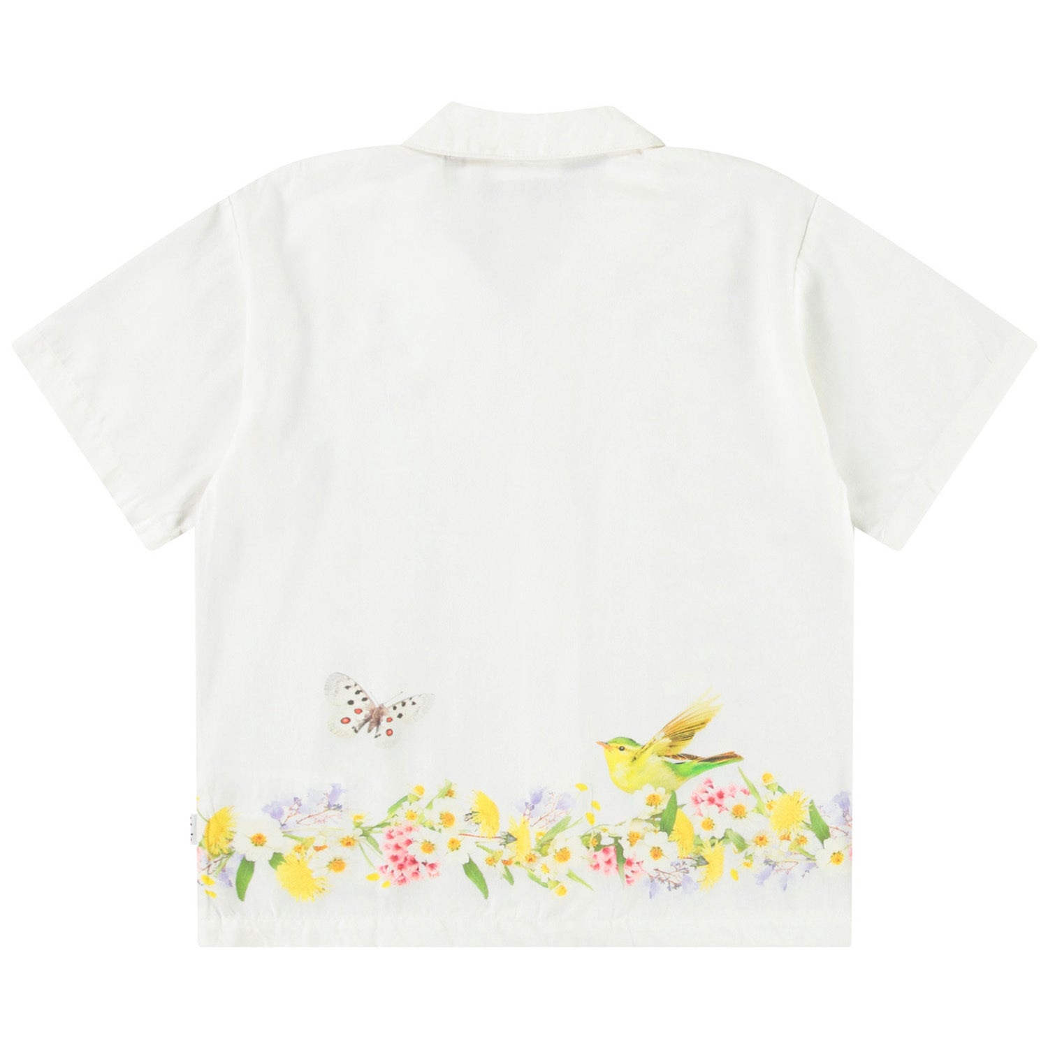 MOLO / Blouse Rui