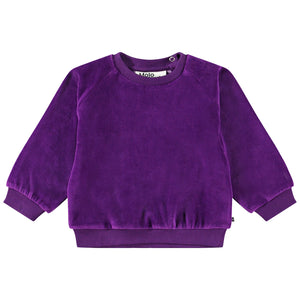 MOLO / Sweater Disc, BABY