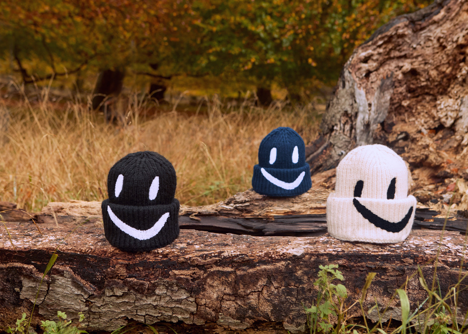 MOLO / Beanie Kim