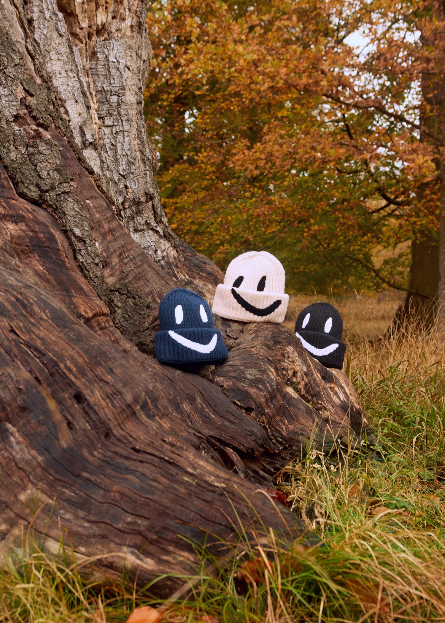 MOLO / Beanie Kim