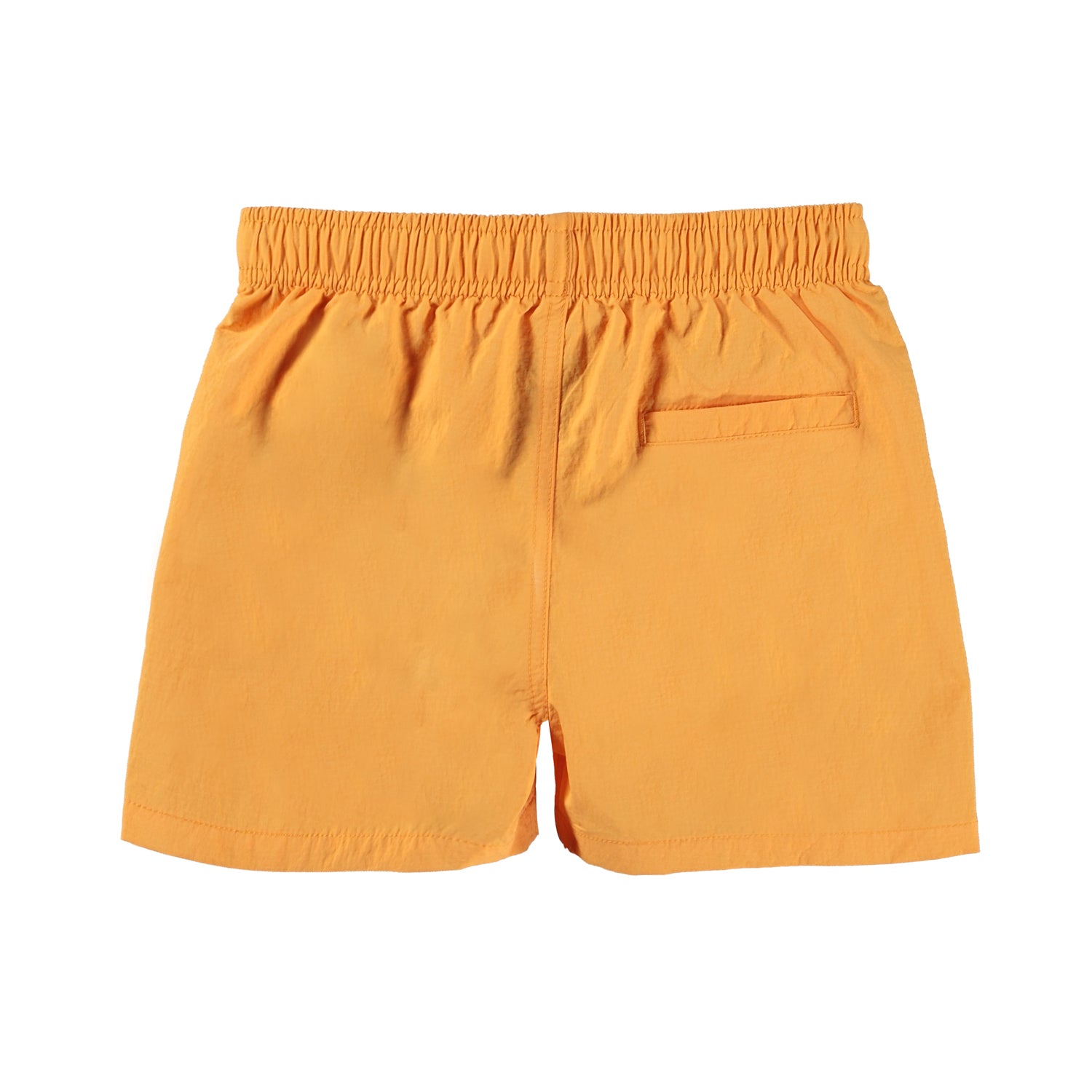 MOLO / Zwemshort Niko