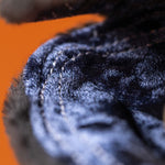 JELLYCAT / Amuseables Michelle Mussel