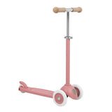 Eco Step - Raspberry