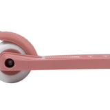 Eco Step - Raspberry