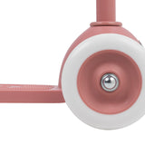 Eco Step - Raspberry