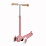 Eco Step - Raspberry