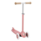 Eco Step - Raspberry