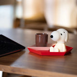 Bundle of light - snoopy
