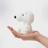Bundle of light - snoopy
