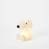 Bundle of light - snoopy