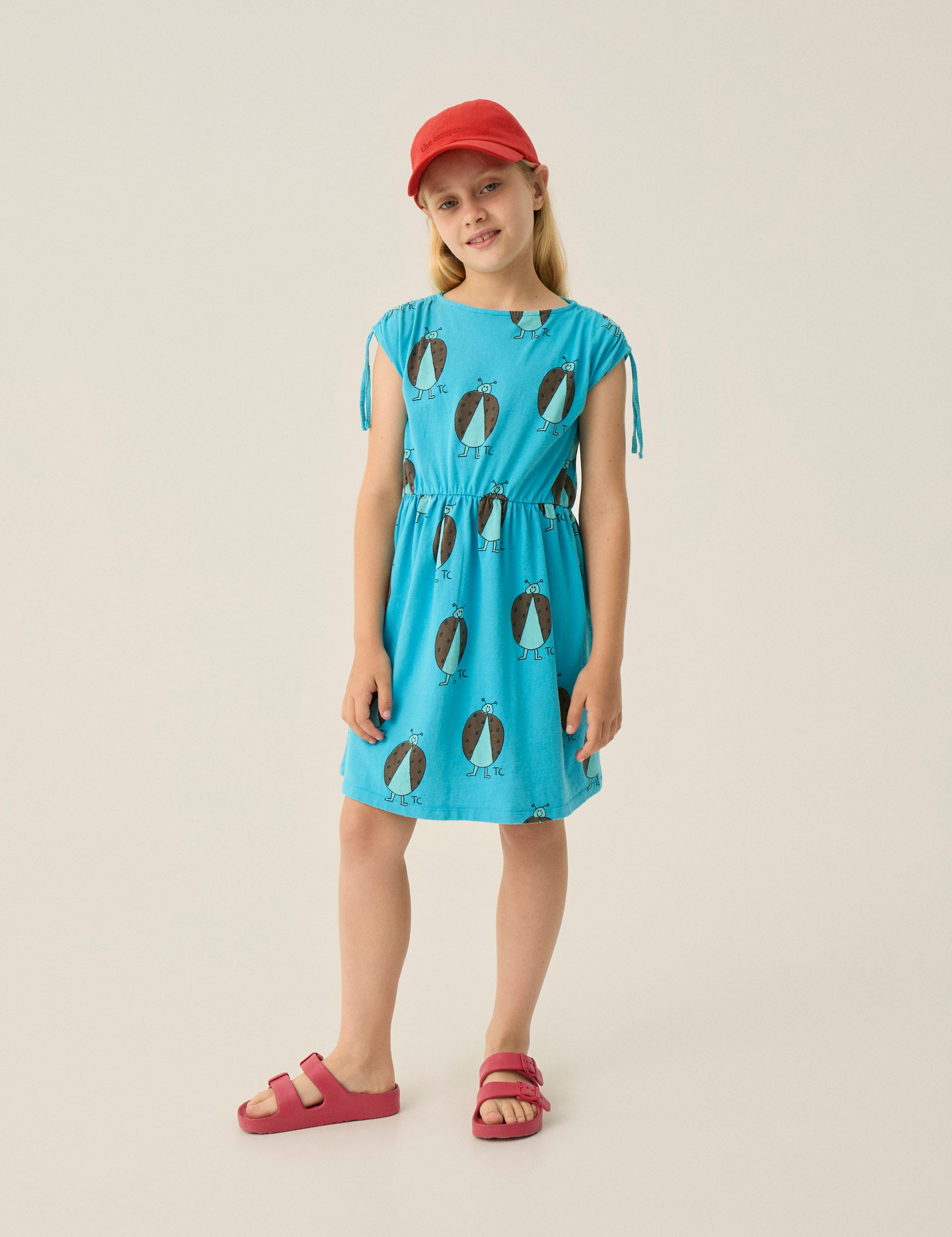Ladybug Allover Blue Dress