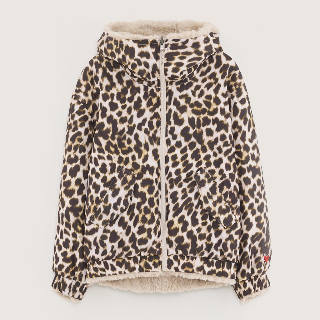 BELLEROSE / Jas Habit