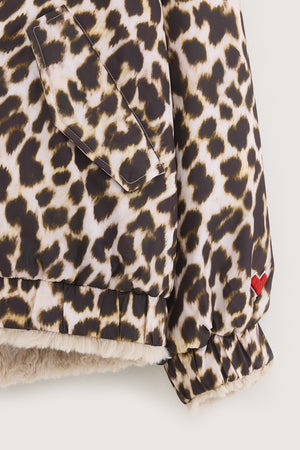 BELLEROSE / Jas Habit
