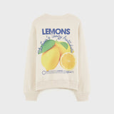 Chami sweater