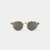 #D - blue tortoise