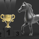 MTM-GIFTS / Sleutelhanger paard