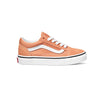 VANS / Old Skool color theory sun baked